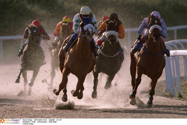 https://betting.betfair.com/horse-racing/all%20weather%20racing.jpg